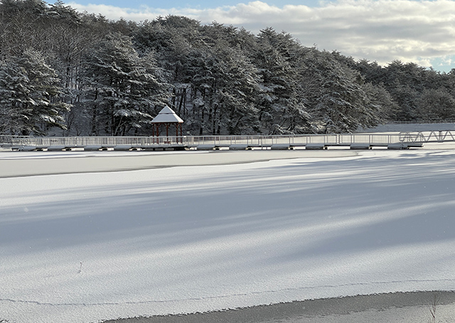 福島の冬の写真